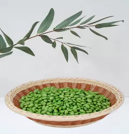 Edamame kernel