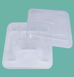 Disposable lunch box 1